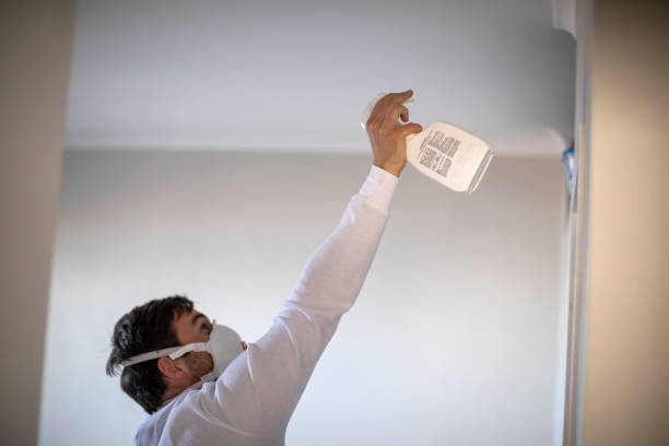 Best Health and Safety Mold Remediation in Odessa, TX