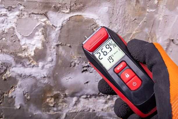 Best Attic Mold Remediation in Odessa, TX
