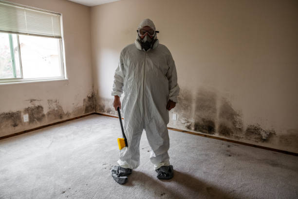 Best Industrial Mold Remediation in Odessa, TX